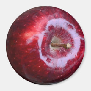 現実的でおいしく赤いApple冷却装置磁石 マグネット