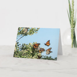 現金カード カード