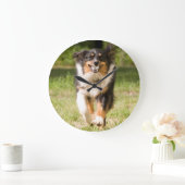 球と遊んでいるオーストラリアの羊飼い ラージ壁時計 (ホーム)