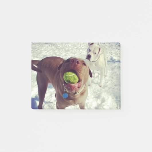 球のメモ帳を遊んでいる子犬 ポストイット (正面)