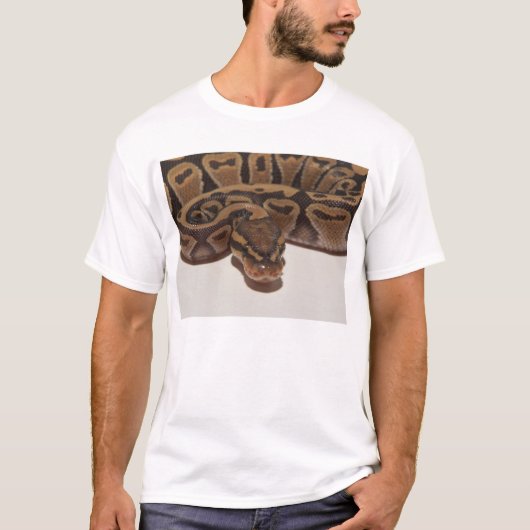 球の大蛇のワイシャツ Tシャツ (正面)