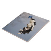 球の最高をつかまえる直前のボーダーコリー タイル (側面)