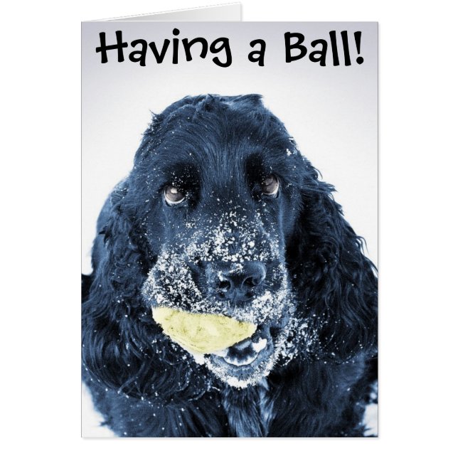 球を持っていること! (正面)