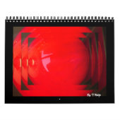 球を持っている2010カレンダー カレンダー (カバー)