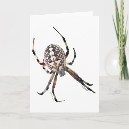 球体のくも カード (正面)