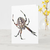 球体のくも カード (黄色い花)