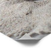 球団球上のサッカーボールビーチ ポスター (角)