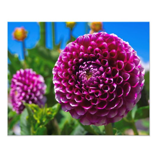 球形 フォトプリント            (正面)