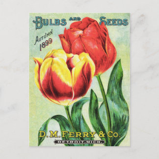 球根と種子の赤と黄色のチューリップ ポストカード