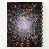 球状クラスターNGC 1866 ノートブック (裏面)