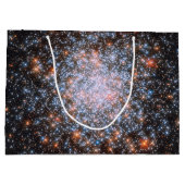 球状クラスターNGC 1866 ラージペーパーバッグ (裏面)