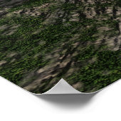 球状 ポスター (角)