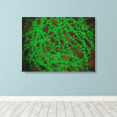 球菌の顕微鏡的見解 キャンバスプリント (インサイチュ (ウッドフロア))