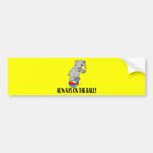 球象 バンパーステッカー (正面)