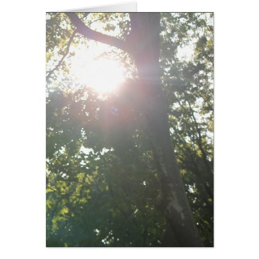 理由なし (正面)