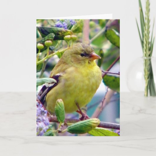 理由は カード (正面)