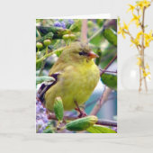 理由は カード (黄色い花)