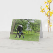 理由は カード (黄色い花)