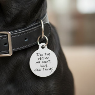 理由：我々は素敵なものを  できない 犬 猫 ペット ID ペット　ネームタグ