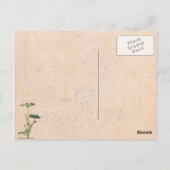 理論葉書 ポストカード (裏面)