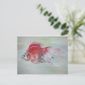 琉球金魚 ポストカード (スタンド正面)