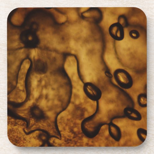 琥珀の凍ってい泡 コースター (正面)