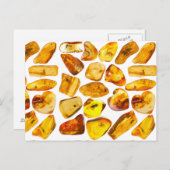 琥珀の石の介在物 ポストカード (正面/裏面)