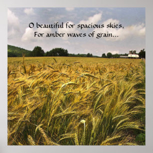 琥珀の穀物の波 ポスター