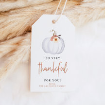 琥珀色のカボチャ 感謝の気持ちを込めて あなたに 秋の感謝祭