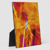 琥珀色のレインボー・ドラゴンフライと暗い赤紫色 フォトプラーク (側面)