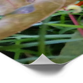 琥珀色の葉 ポスター (角)