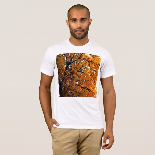 琥珀葉の秋 Tシャツ (正面フル)