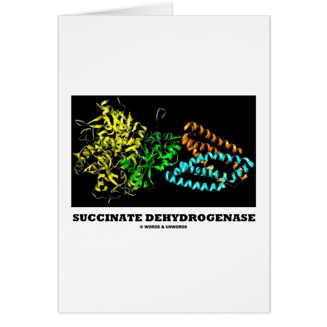 琥珀酸塩のデヒドロゲナーゼ(化学) (正面)