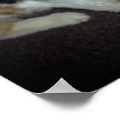 琥珀 ポスター (角)