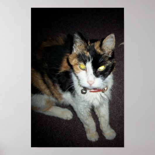 琥珀 ポスター (正面)