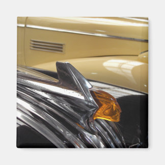 琥珀 マグネット