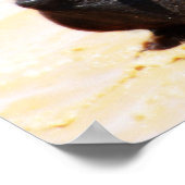 瑠美ソウルジョイ ポスター (角)