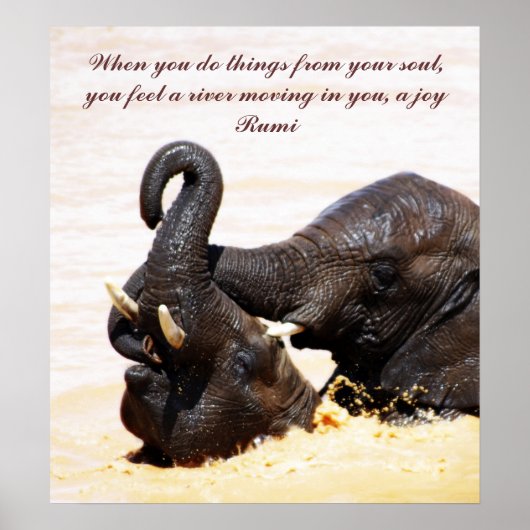 瑠美ソウルジョイ ポスター (正面)