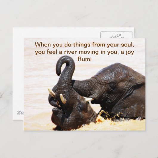 瑠美ソウルジョイ 案内ポストカード (正面/裏面)