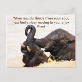 瑠美ソウルジョイ 案内ポストカード (正面)