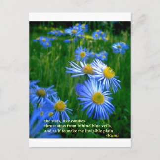 瑠美ブルー ポストカード