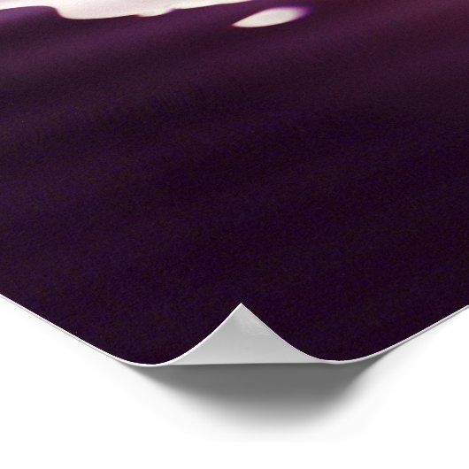 瑠美ラヴは鏡 ポスター (角)