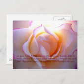 瑠美ロベローズ葉書 ポストカード (正面/裏面)