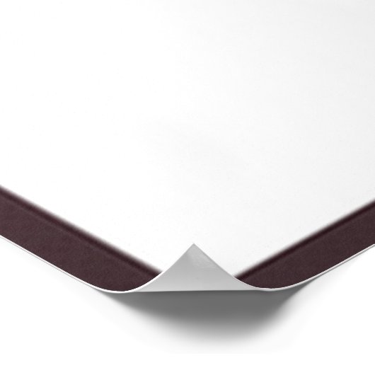 瑠美引用文 ポスター (角)