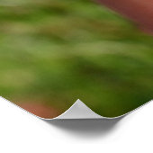 瑠美引用文 ポスター (角)