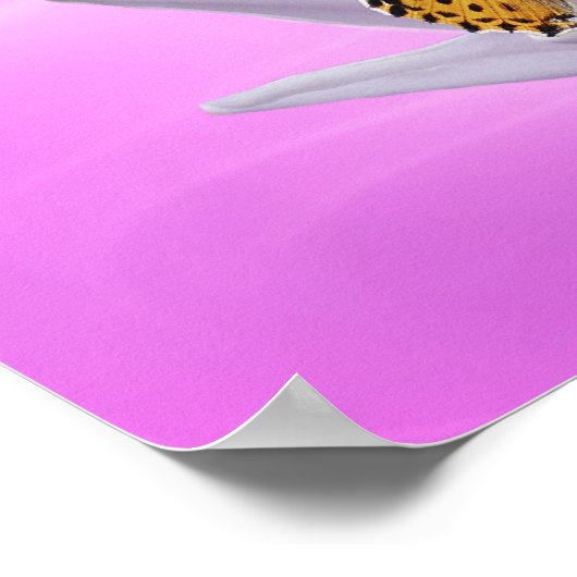 瑠美美しい ポスター (角)