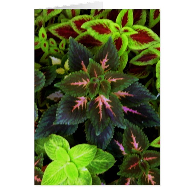 環境にやさしいことをしよう_ (正面)