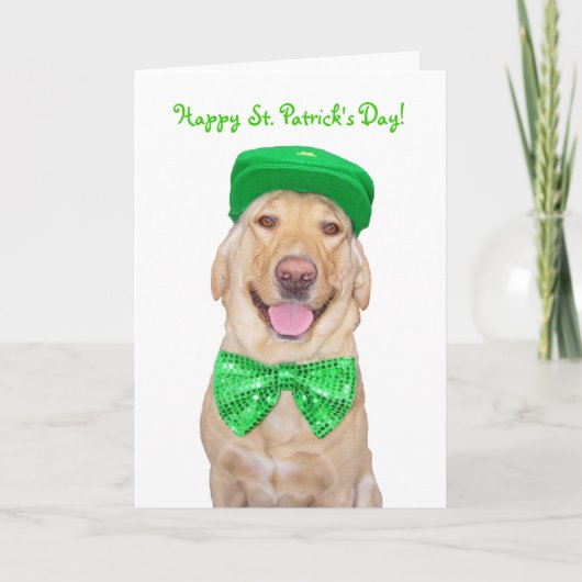 環境に合わせおもしろいてカスタマイズ可能なラボ カード (正面)