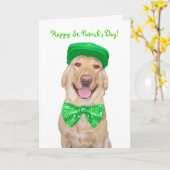 環境に合わせおもしろいてカスタマイズ可能なラボ カード (黄色い花)