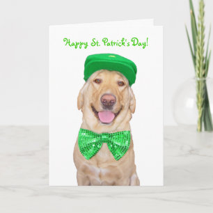 環境に合わせおもしろいてカスタマイズ可能なラボ カード